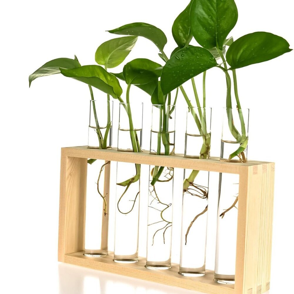 Wall Hanging Glass Planter Propagation Station Test Tube Flower Vase Vintage Woo - Picture 1 of 8